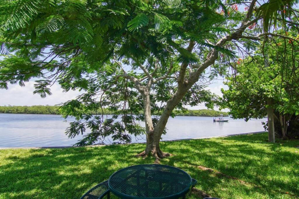 Apartment Riverview, 507, Steps Away!+pool+wifi Ruskin